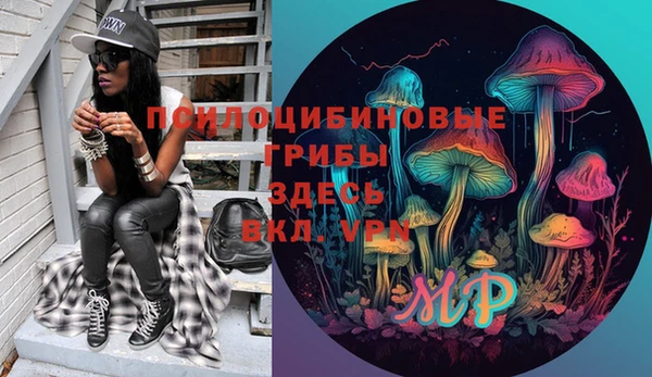 гашик Каменногорск