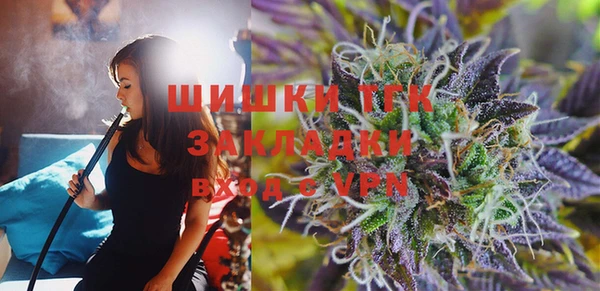 spice Карпинск