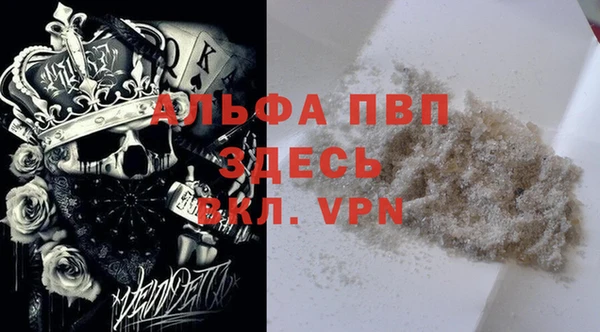 гашик Каменногорск