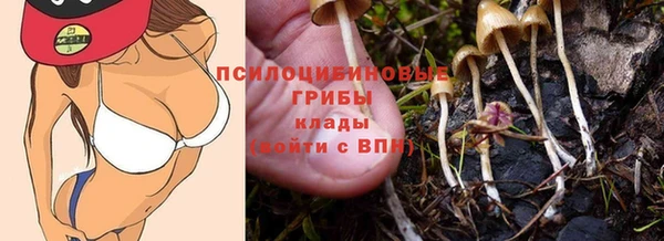 соль ск Карталы